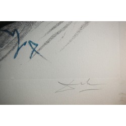 SALVADOR DALI - Austern und Akt
