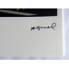 ANDY WARHOL - 4 dollar sign