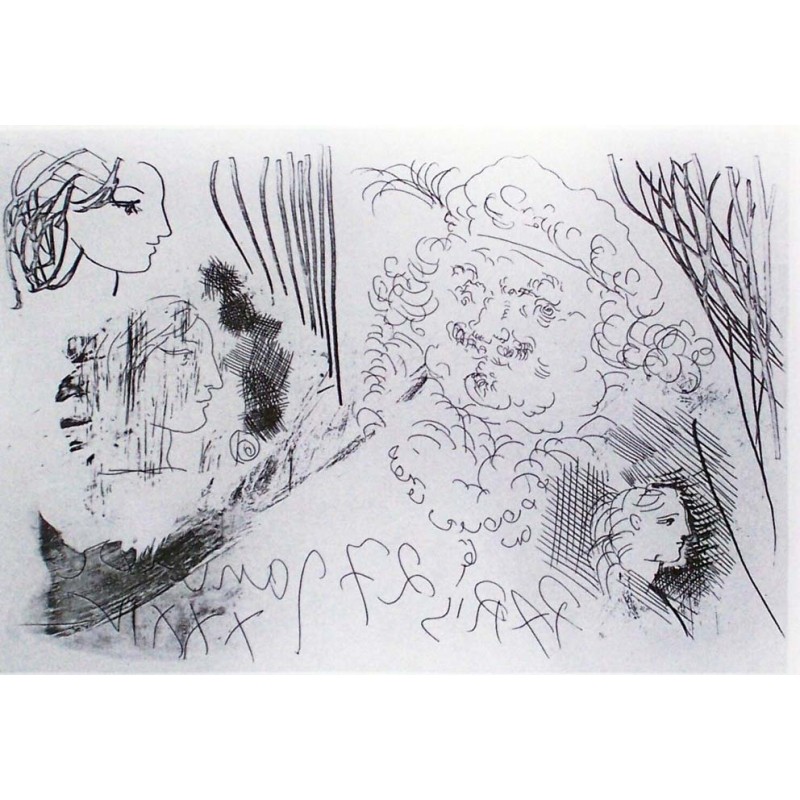 PABLO PICASSO - SUITE VOLLARD