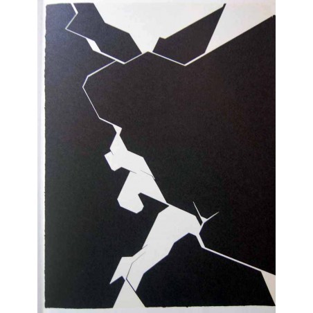 PABLO PALAZUELO - Litografia original DLM - 1974