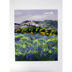 Zarou - Campo de lavanda...