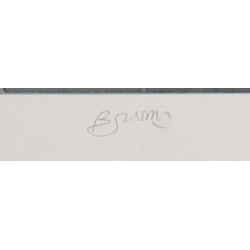 BRUNO BRUNI - Meneloa