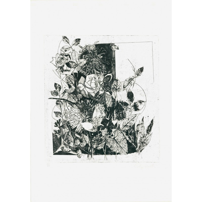 PAOLA PITZIANTI - Composicion floral