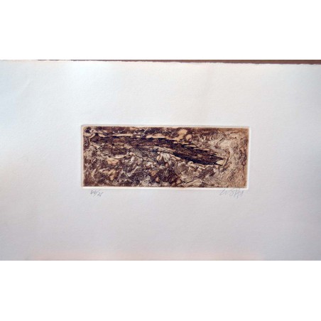 EVRU ZUSH -  Composicion