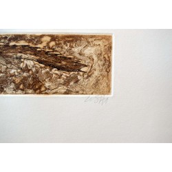 EVRU ZUSH -  Composicion