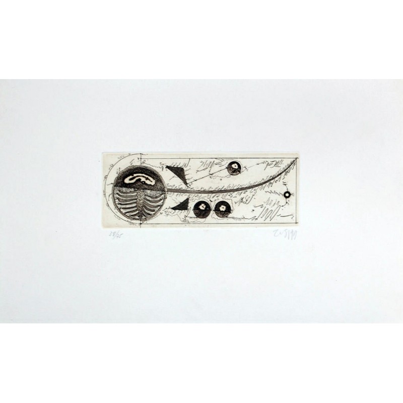 EVRU ZUSH -  Composicion