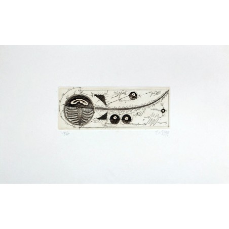 EVRU ZUSH -  Composicion