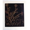 PABLO PICASSO - Planta con toritos