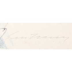 Ernesto Treccani - Flor