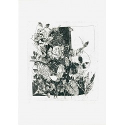 PAOLA PITZIANTI - Composicion floral