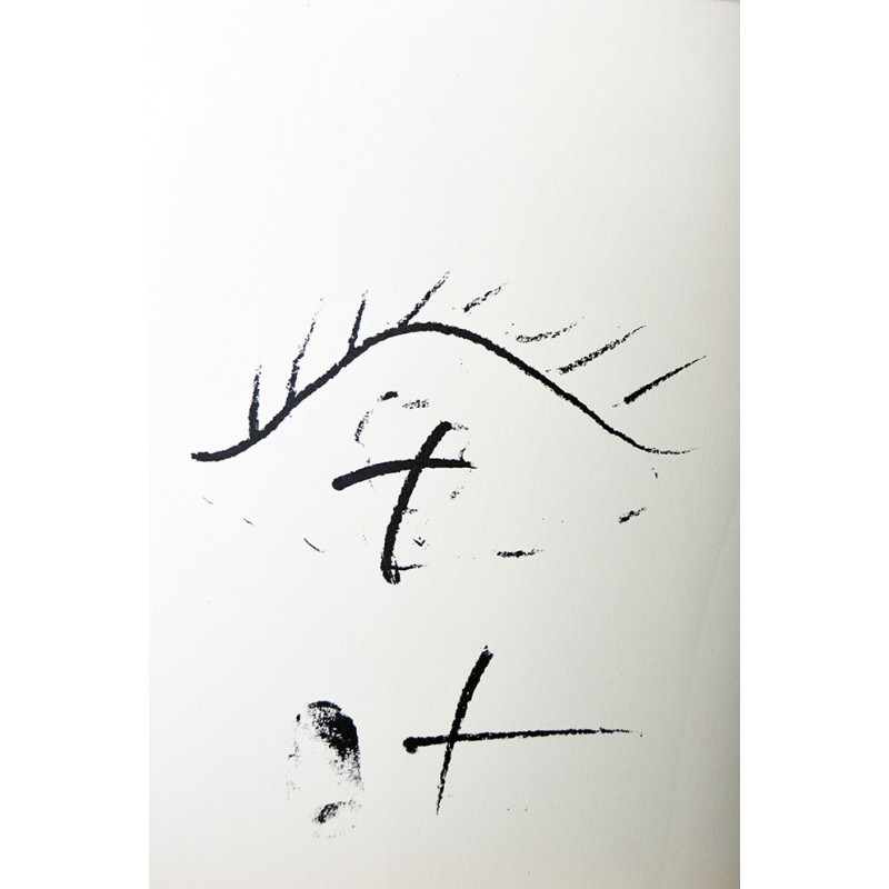 ANTONI TAPIES - La substancia y los accidentes