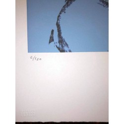 copy of ANDY WARHOL - Litografia