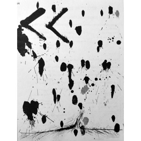 copy of ANTONI TAPIES - Litografia original DLM