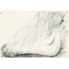 ANTONI TAPIES - Novel la