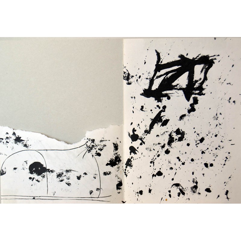 copy of ANTONI TAPIES - Litografia original DLM
