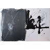 copy of ANTONI TAPIES - Litografia original DLM