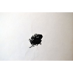 copy of ANTONI TAPIES - Litografia original DLM