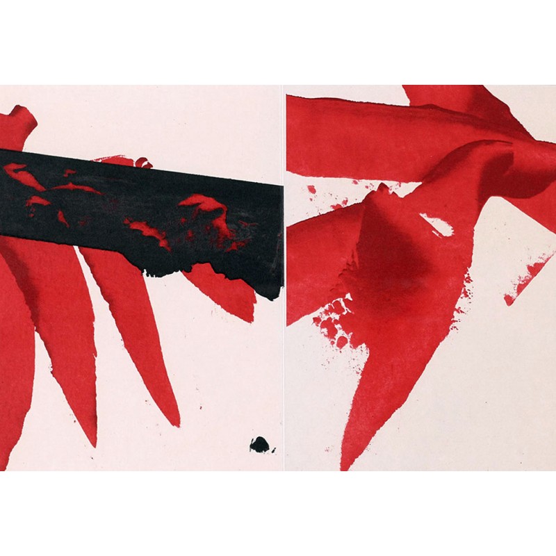 copy of LUIS FEITO - Litografia original