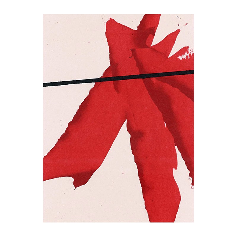 copy of LUIS FEITO - Litografia original