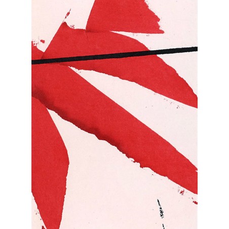 copy of LUIS FEITO - Litografia original
