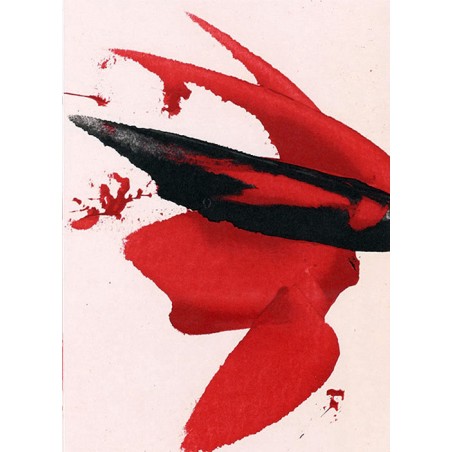 copy of LUIS FEITO - Litografia original