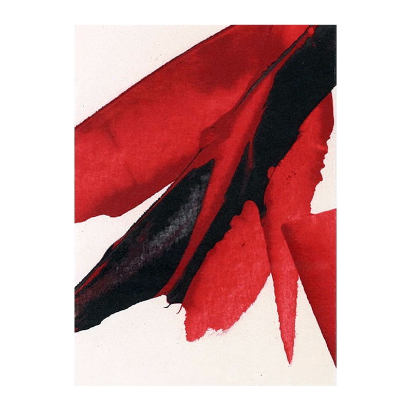 copy of LUIS FEITO - Litografia original