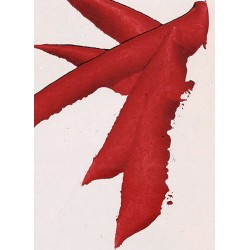 copy of LUIS FEITO -...
