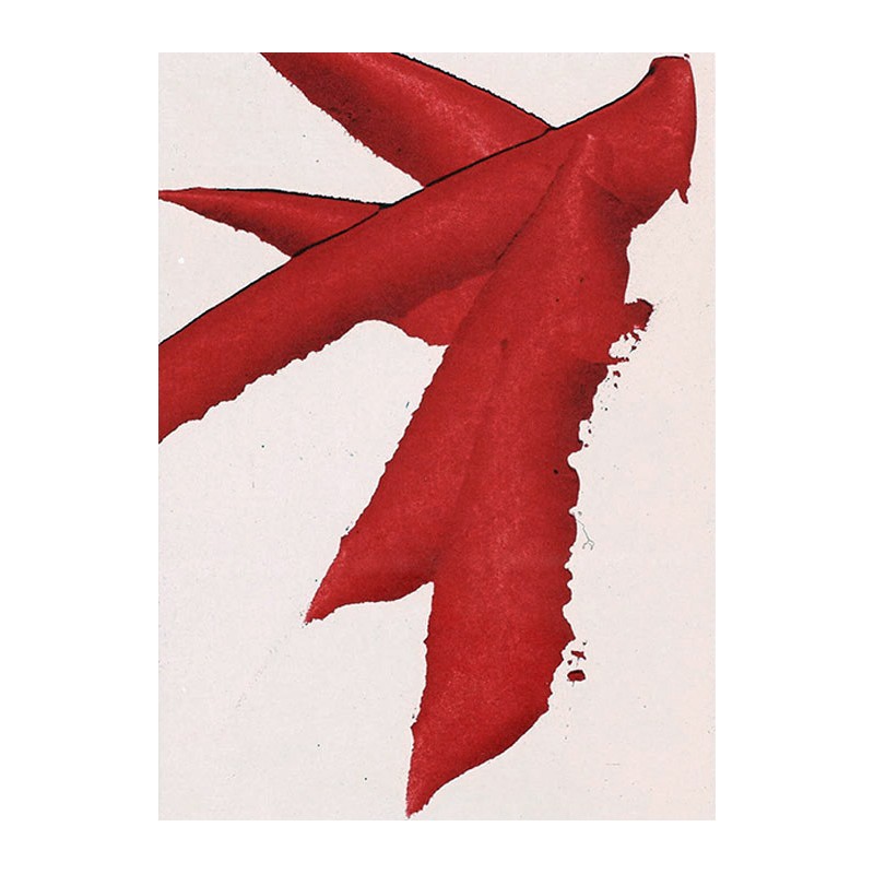copy of LUIS FEITO - Litografia original