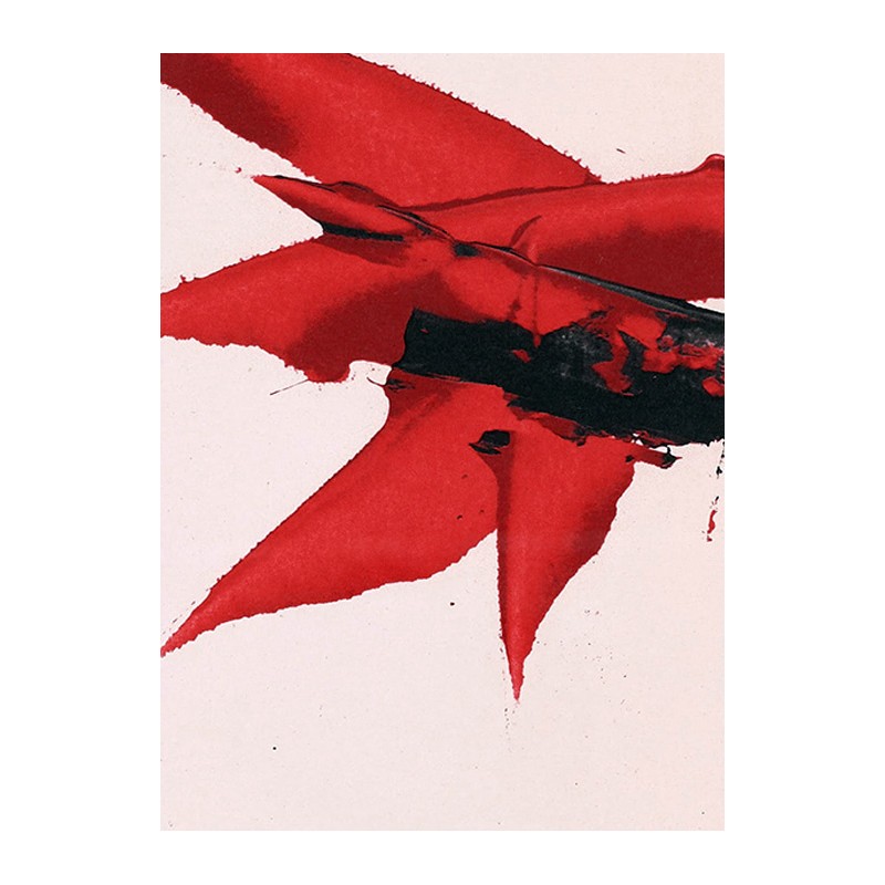 copy of LUIS FEITO - Litografia original