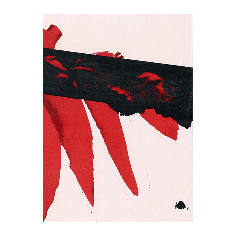 copy of LUIS FEITO - Litografia original