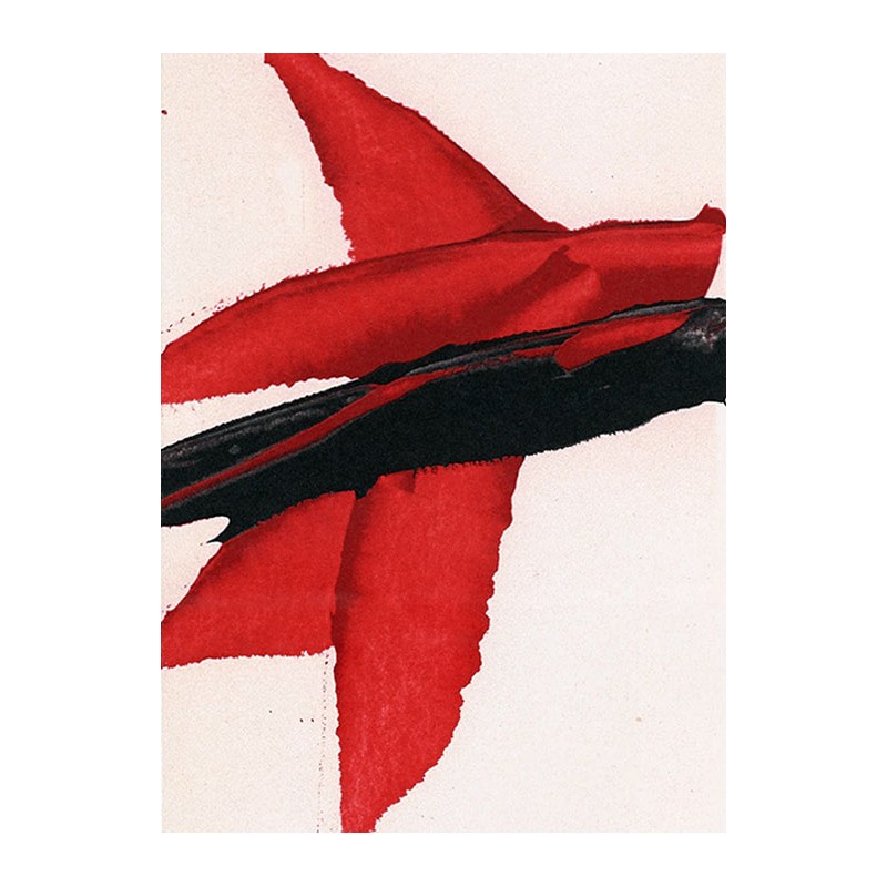 copy of LUIS FEITO - Litografia original