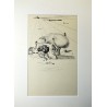 copy of SALVADOR DALI - El caballo de la muerte