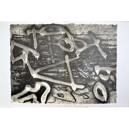 copy of ANTONI TAPIES - Litografia original DLM