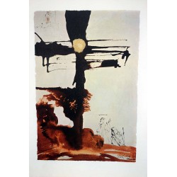 copy of SALVADOR DALI - La creación del hombre