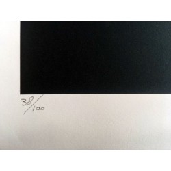 copy of ANDY WARHOL - Litografia