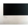 copy of ANDY WARHOL - Litografia