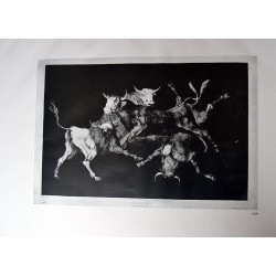 Goya - Disparates