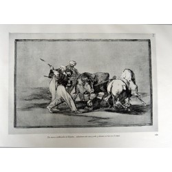 Goya - Tauromaquia