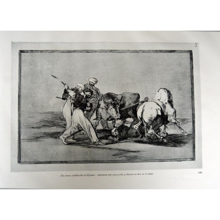 copy of Goya - Disparates