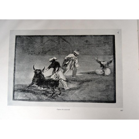 copy of Goya - Disparates