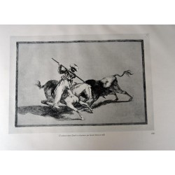 Goya - Tauromaquia