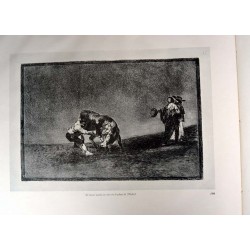 copy of Goya - Disparates