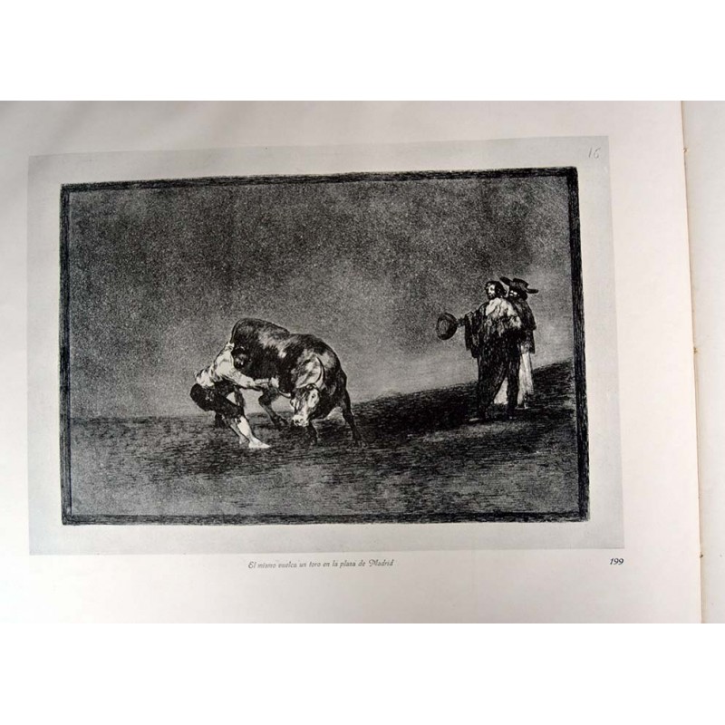 copy of Goya - Disparates