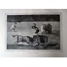 Goya - Tauromaquia