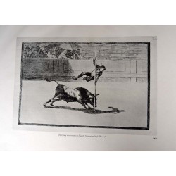 Goya - Tauromaquia
