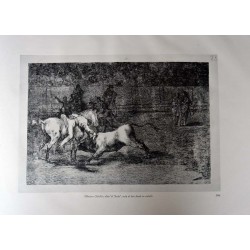 copy of Goya - Disparates