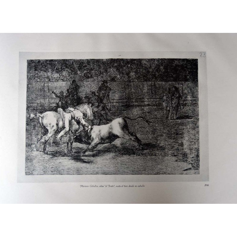 copy of Goya - Disparates