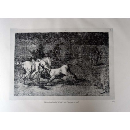 copy of Goya - Disparates