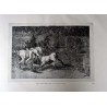 copy of Goya - Disparates