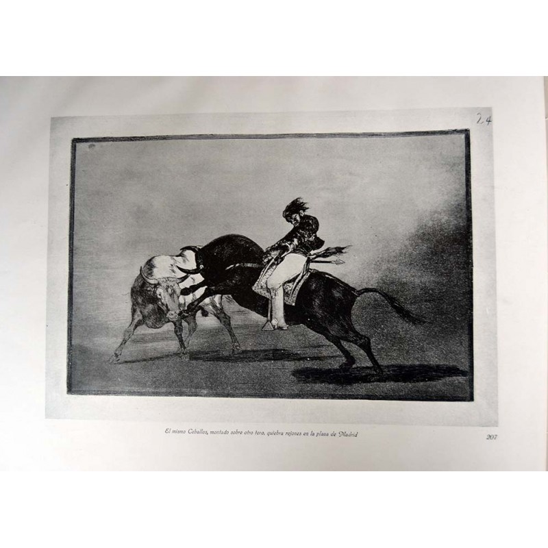 Goya - Tauromaquia